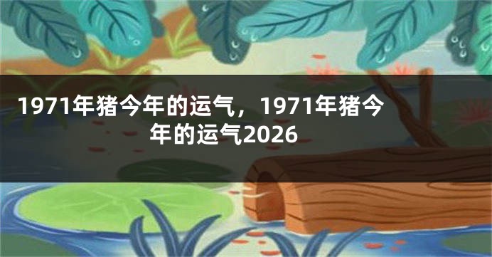1971年猪今年的运气，1971年猪今年的运气2026
