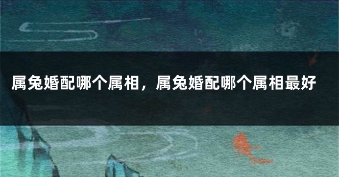 属兔婚配哪个属相，属兔婚配哪个属相最好