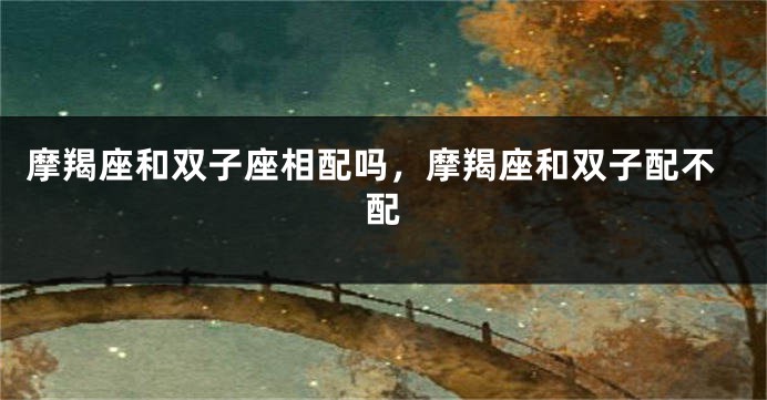摩羯座和双子座相配吗，摩羯座和双子配不配