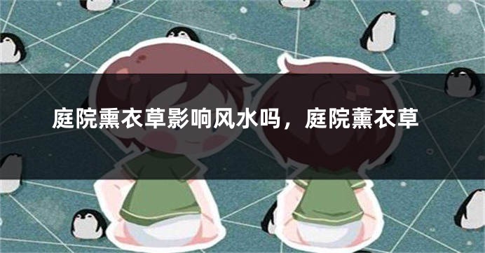 庭院熏衣草影响风水吗，庭院薰衣草
