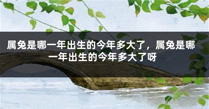 属兔是哪一年出生的今年多大了，属兔是哪一年出生的今年多大了呀