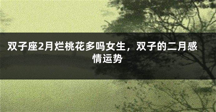 双子座2月烂桃花多吗女生，双子的二月感情运势