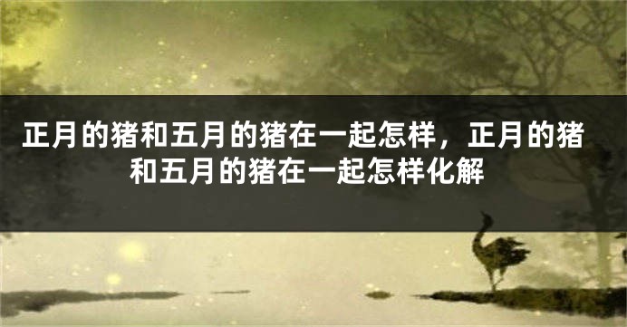 正月的猪和五月的猪在一起怎样，正月的猪和五月的猪在一起怎样化解