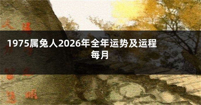 1975属兔人2026年全年运势及运程每月