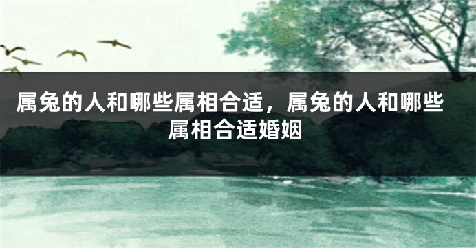 属兔的人和哪些属相合适，属兔的人和哪些属相合适婚姻