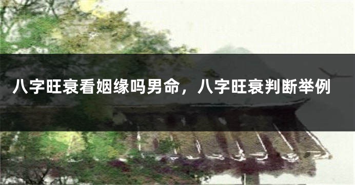 八字旺衰看姻缘吗男命，八字旺衰判断举例
