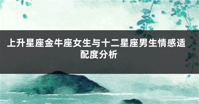 上升星座金牛座女生与十二星座男生情感适配度分析