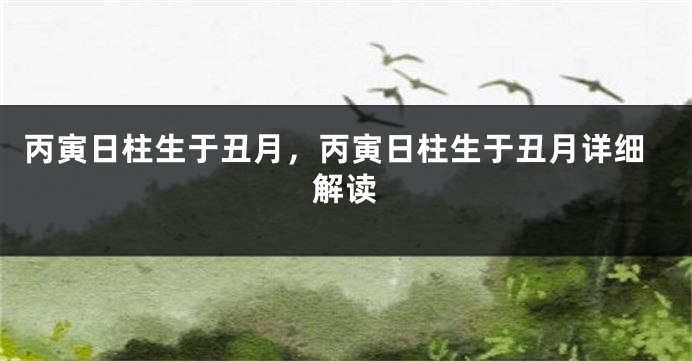 丙寅日柱生于丑月,丙寅日柱生于丑月详细解读