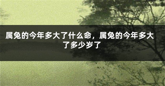 属兔的今年多大了什么命，属兔的今年多大了多少岁了