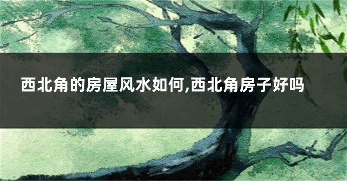 西北角的房屋风水如何,西北角房子好吗