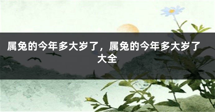 属兔的今年多大岁了，属兔的今年多大岁了大全