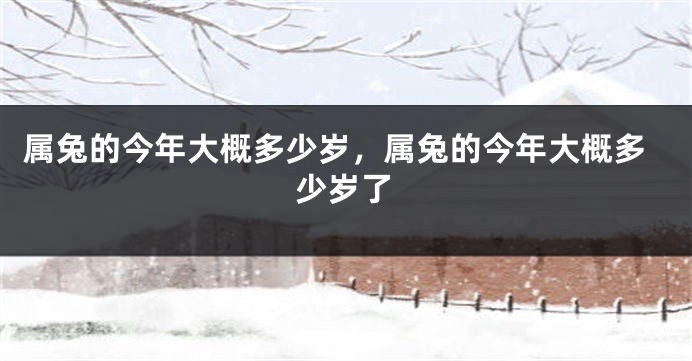 属兔的今年大概多少岁，属兔的今年大概多少岁了