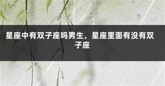 星座中有双子座吗男生，星座里面有没有双子座