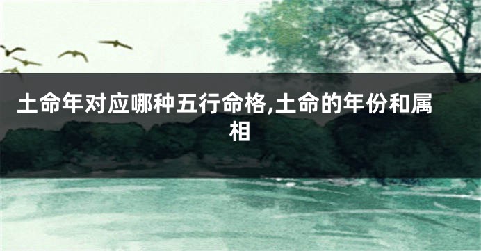土命年对应哪种五行命格,土命的年份和属相