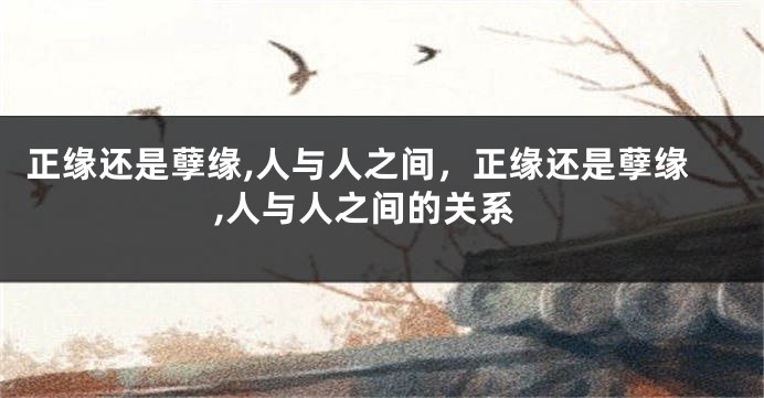 正缘还是孽缘,人与人之间，正缘还是孽缘,人与人之间的关系