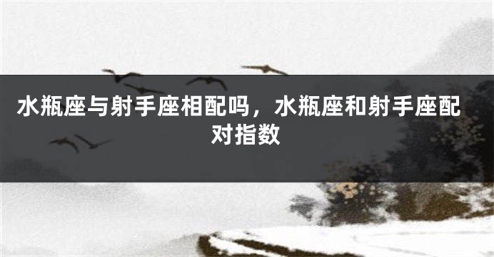 水瓶座与射手座相配吗,水瓶座和射手座配对指数