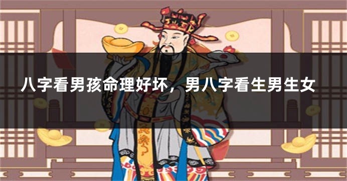 八字看男孩命理好坏,男八字看生男生女