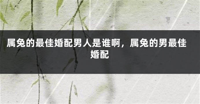 属兔的最佳婚配男人是谁啊,属兔的男最佳婚配