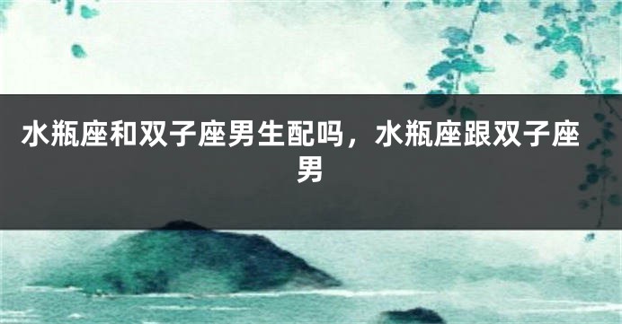 水瓶座和双子座男生配吗，水瓶座跟双子座男