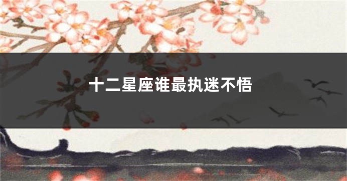 十二星座谁最执迷不悟