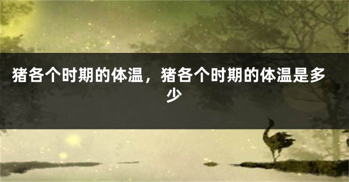 猪各个时期的体温，猪各个时期的体温是多少