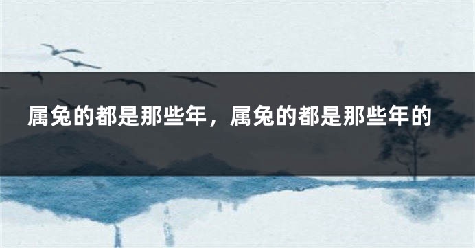属兔的都是那些年，属兔的都是那些年的