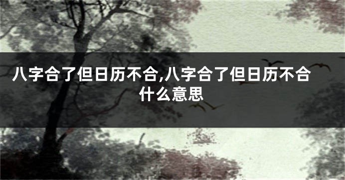 八字合了但日历不合,八字合了但日历不合什么意思
