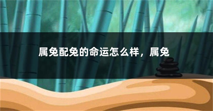 属兔配兔的命运怎么样，属兔