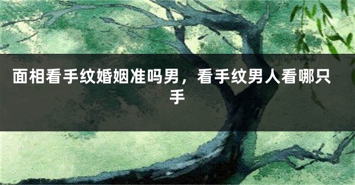 面相看手纹婚姻准吗男，看手纹男人看哪只手