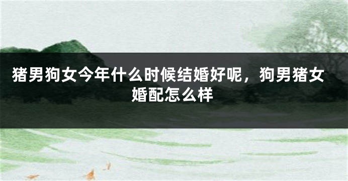 猪男狗女今年什么时候结婚好呢,狗男猪女婚配怎么样
