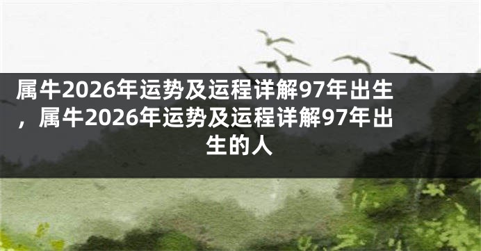 属牛2026年运势及运程详解97年出生,属牛2026年运势及运程详解97年出生的人