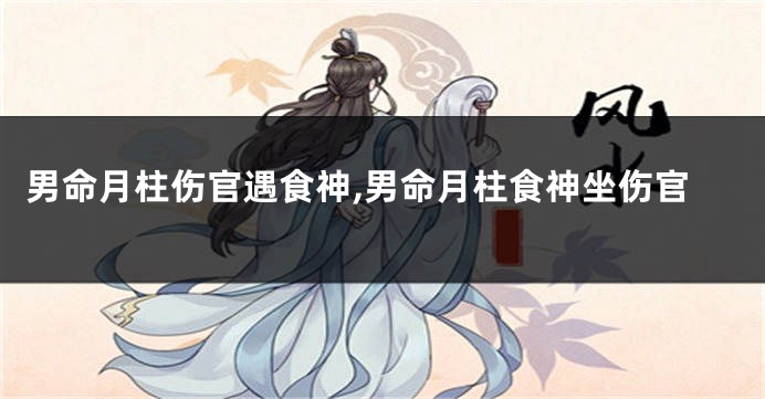 男命月柱伤官遇食神,男命月柱食神坐伤官