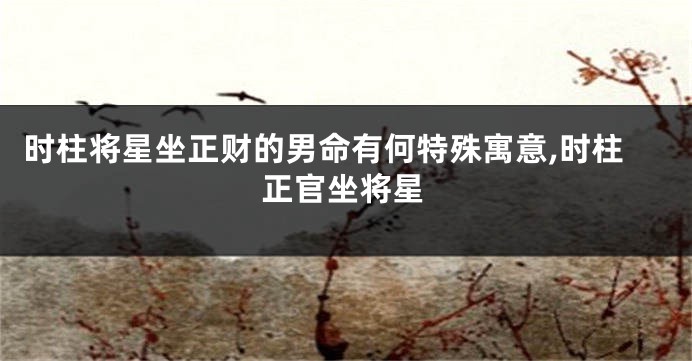 时柱将星坐正财的男命有何特殊寓意,时柱正官坐将星