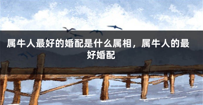 属牛人最好的婚配是什么属相，属牛人的最好婚配