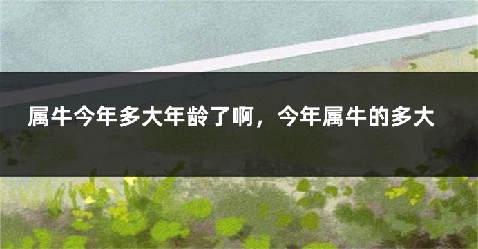 属牛今年多大年龄了啊，今年属牛的多大