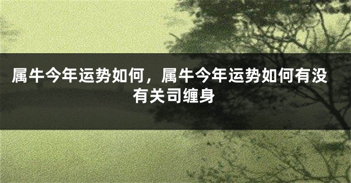 属牛今年运势如何，属牛今年运势如何有没有关司缠身