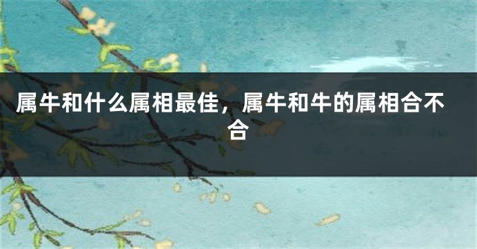 属牛和什么属相最佳，属牛和牛的属相合不合
