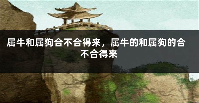 属牛和属狗合不合得来，属牛的和属狗的合不合得来