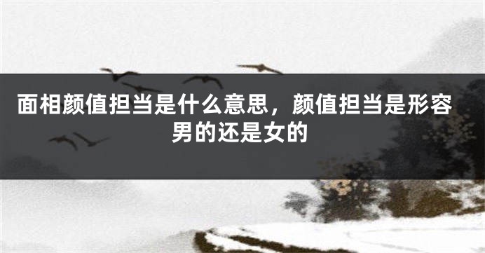 面相颜值担当是什么意思,颜值担当是形容男的还是女的
