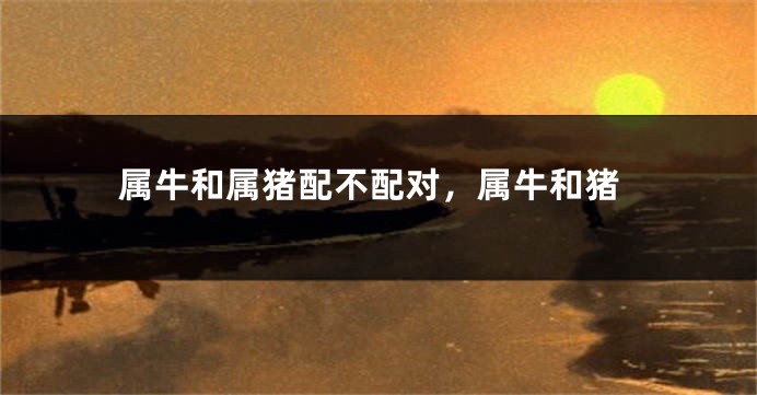 属牛和属猪配不配对，属牛和猪