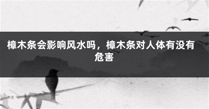 樟木条会影响风水吗，樟木条对人体有没有危害