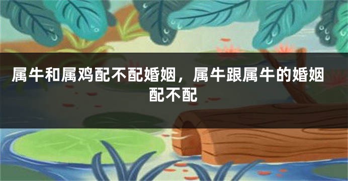 属牛和属鸡配不配婚姻，属牛跟属牛的婚姻配不配