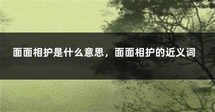 面面相护是什么意思，面面相护的近义词