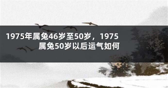 1975年属兔46岁至50岁,1975属兔50岁以后运气如何