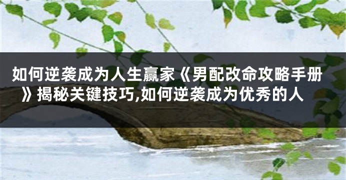 如何逆袭成为人生赢家《男配改命攻略手册》揭秘关键技巧,如何逆袭成为优秀的人