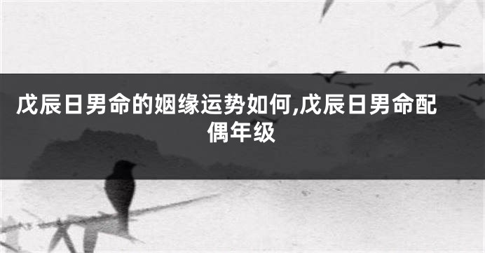 戊辰日男命的姻缘运势如何,戊辰日男命配偶年级