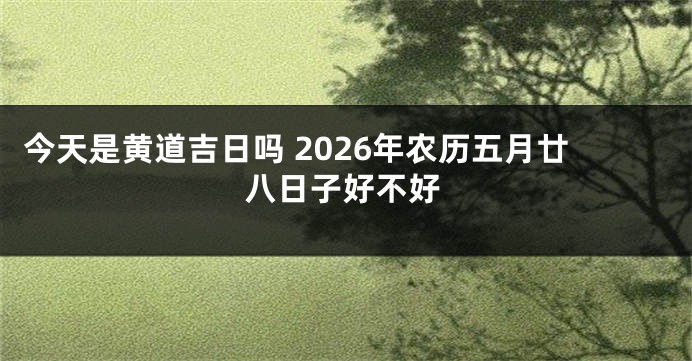 今天是黄道吉日吗 2026年农历五月廿八日子好不好