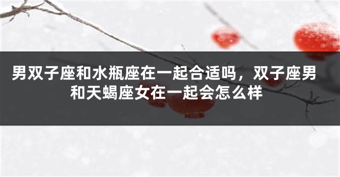 男双子座和水瓶座在一起合适吗，双子座男和天蝎座女在一起会怎么样