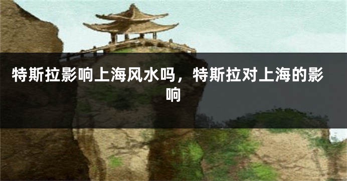 特斯拉影响上海风水吗，特斯拉对上海的影响