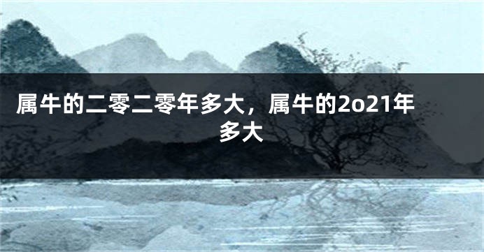 属牛的二零二零年多大，属牛的2o21年多大